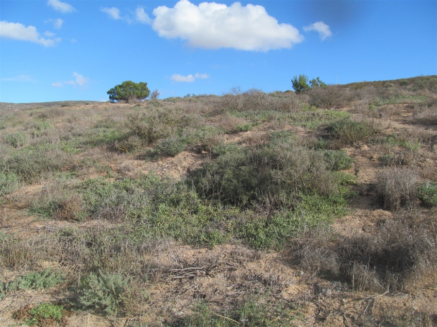 0 Bedroom Property for Sale in Britannica Heights Western Cape